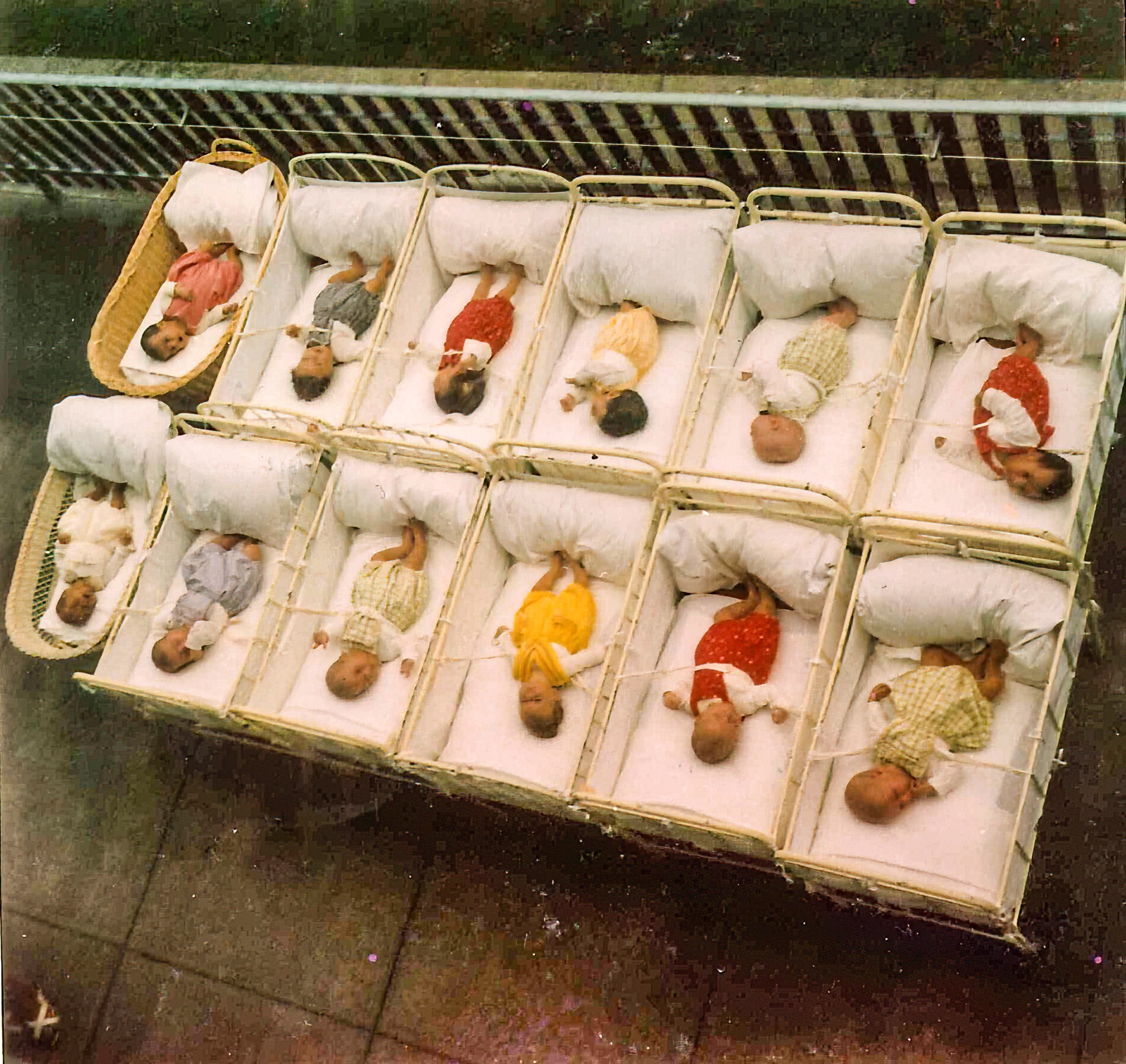 Colour photograph of twelve infants lying side by side in cots. The children are strapped in and fabrics are pulled up between the cots to prevent the children from seeing each other. Photo taken in the 1960s.